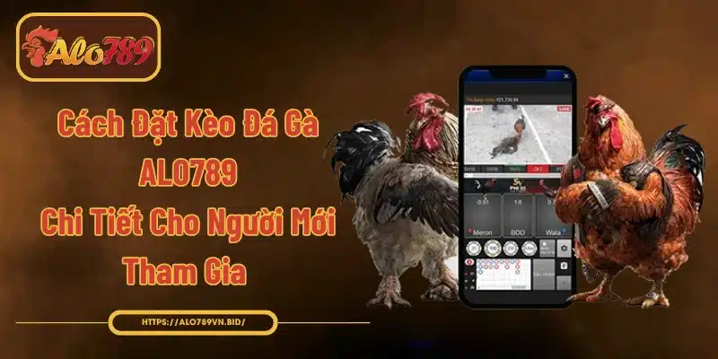 Cách Đặt Kèo Đá Gà ALO789 Chi Tiết Cho Người Mới Tham Gia 1 Cách đặt kèo đá gà ALO789