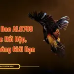 Đá Gà Cựa Dao ALO789