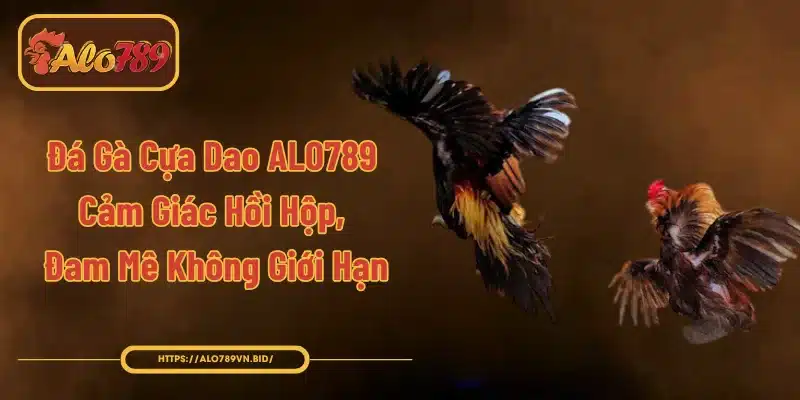 Đá Gà Cựa Dao ALO789 - Đam Mê Không Giới Hạn 1 Đá Gà Cựa Dao ALO789