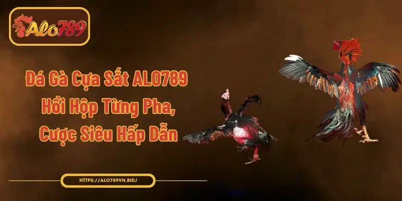 Đá Gà Cựa Sắt ALO789 - Hồi Hộp Từng Pha, Cược Siêu Hấp Dẫn 1 Đá Gà Cựa Sắt ALO789