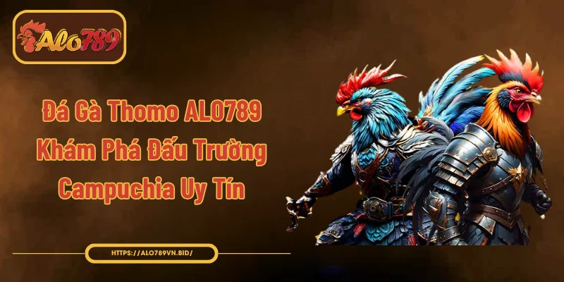 Đá Gà Thomo ALO789 - Khám Phá Đấu Trường Campuchia Uy Tín