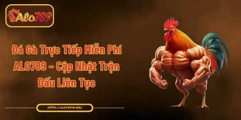 Đá Gà Trực Tiếp Miễn Phí ALO789