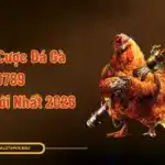 Hạn Mức Cược Đá Gà ALO789
