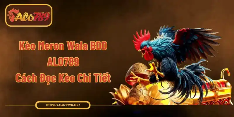 Kèo Meron Wala BDD ALO789 - Cách Đọc Kèo Chi Tiết 1 Kèo Meron Wala BDD ALO789