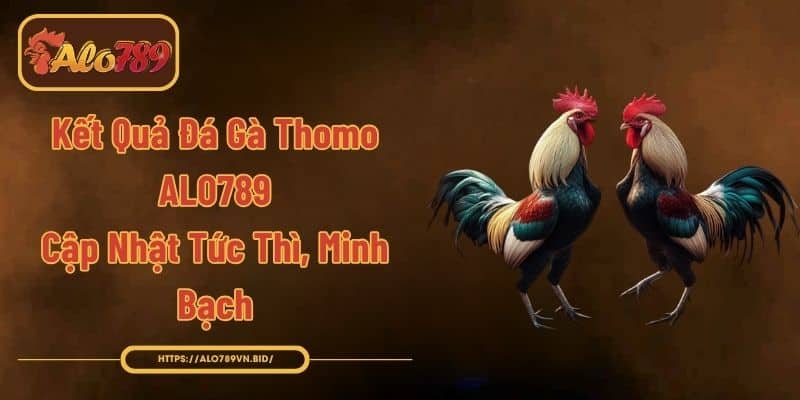 Kết Quả Đá Gà Thomo ALO789 - Cập Nhật Tức Thì, Minh Bạch 1 Kết Quả Đá Gà Thomo ALO789