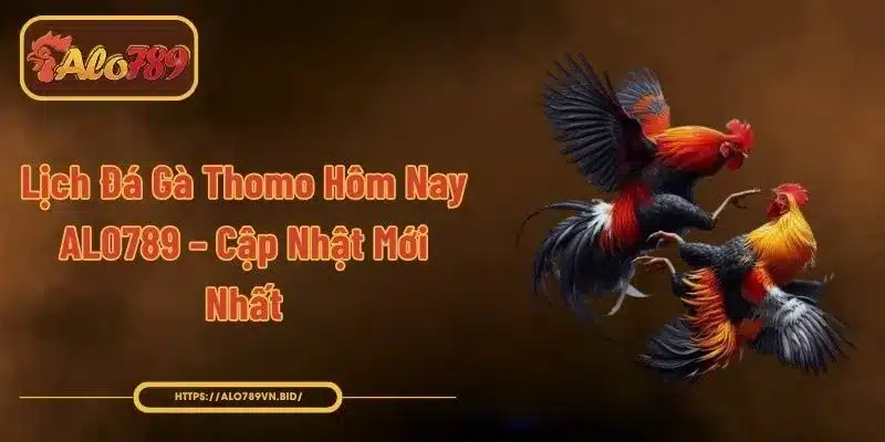 Lịch Đá Gà Thomo Hôm Nay ALO789
