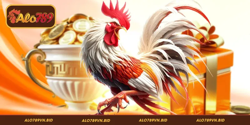 Đá Gà ALO789 – Đấu Trường Rực Lửa, Cuốn Hút Từng Giây 4 Mẹo soi kèo đá gà từ các chuyên gia lão làng tại ALO789