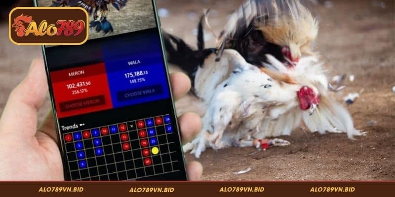 Stream 4K Đá Gà ALO789 - Trải Nghiệm Sàn Đấu Cực Chất 4 Mẹo tận dụng stream 4K đá gà ALO789 hiệu quả