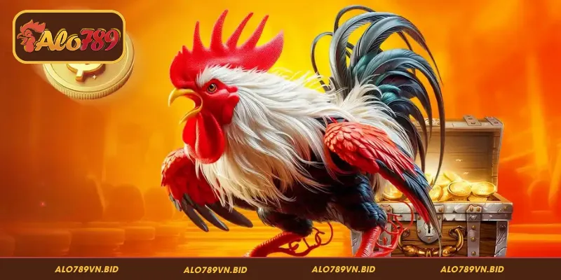 Đá Gà ALO789 – Đấu Trường Rực Lửa, Cuốn Hút Từng Giây 3 Những hình thức đá gà ALO789 kinh điển không thể bỏ qua