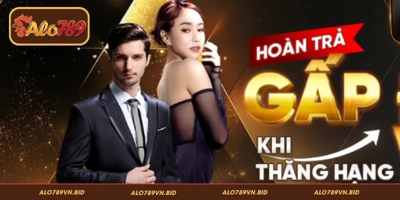 VIP ALO789 – Đặc Quyền Đẳng Cấp Dành Cho Hội Viên Thượng Lưu 5 Những lưu ý khi trở thành VIP ALO789